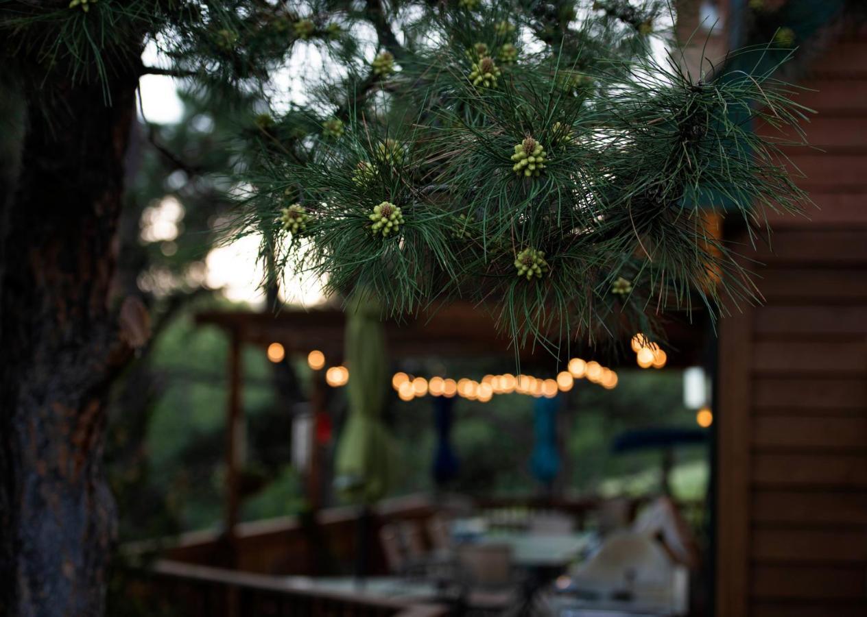 Coyote Blues Village Bed & Breakfast Silver City Екстериор снимка