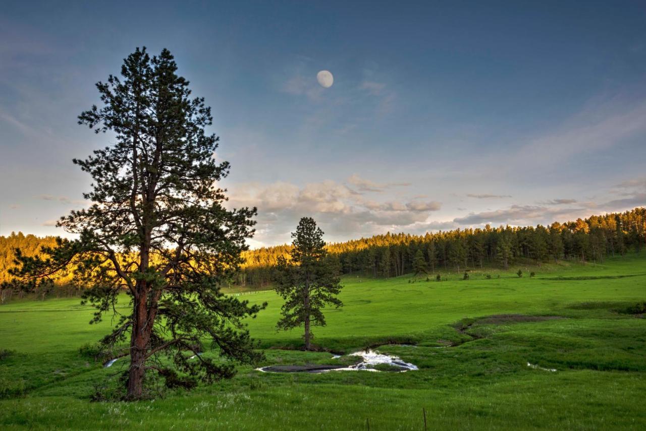 Coyote Blues Village Bed & Breakfast Silver City Екстериор снимка